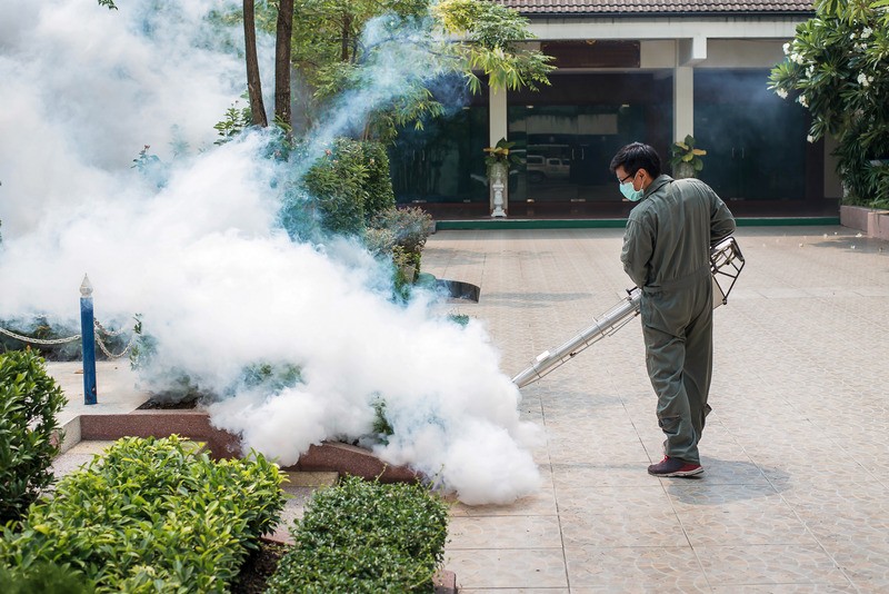 Persona spruzza insetticida in giardino con nebulizzatore.