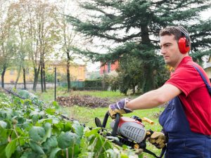 Giardiniere taglia siepi con attrezzo elettrico.