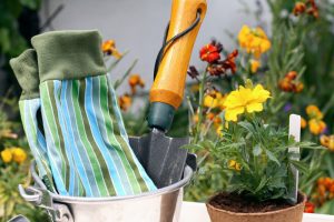 Guanti, paletta e piantina in vaso su sfondo fiorito.