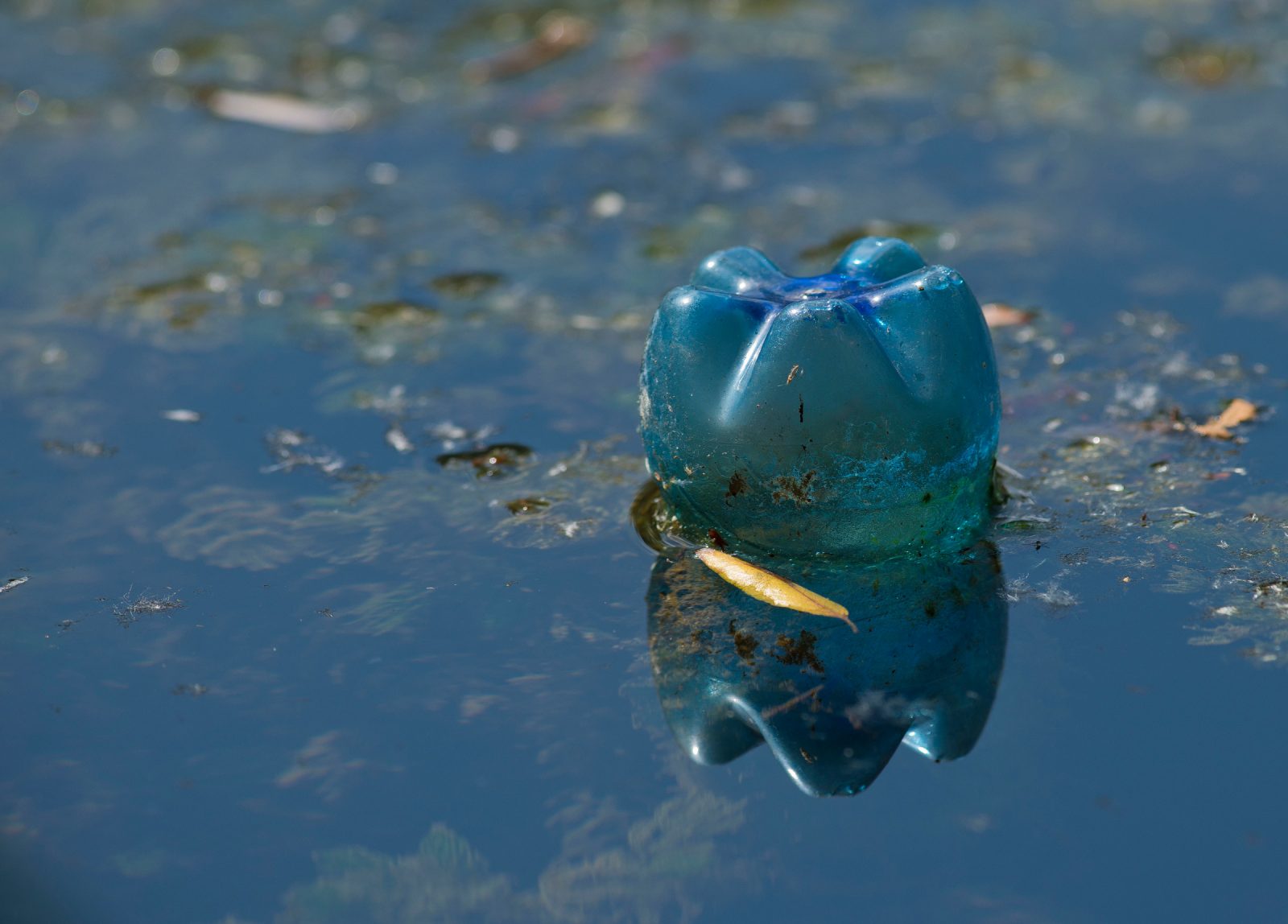 Fondo di bottiglia di plastica galleggiante sull'acqua.