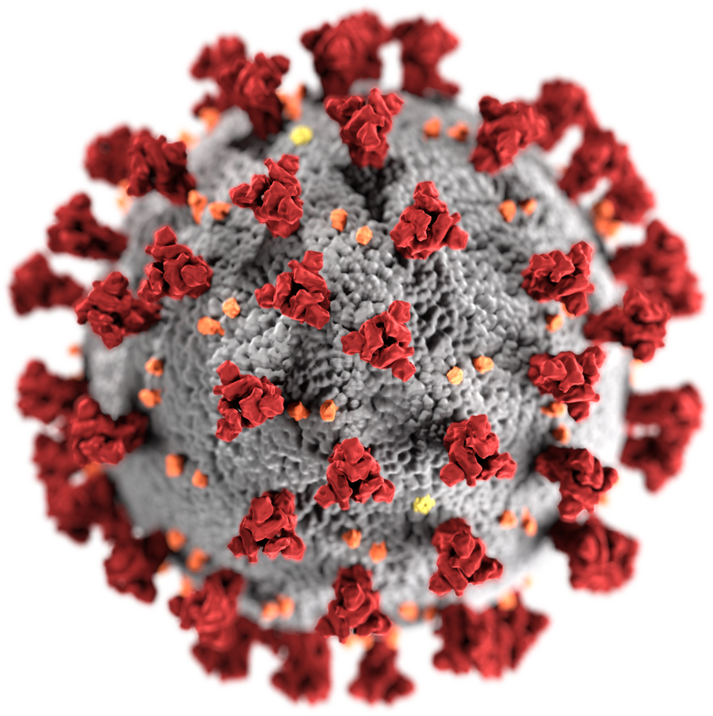 Illustrazione del virus SARS-CoV-2 con proteine spike rosse.